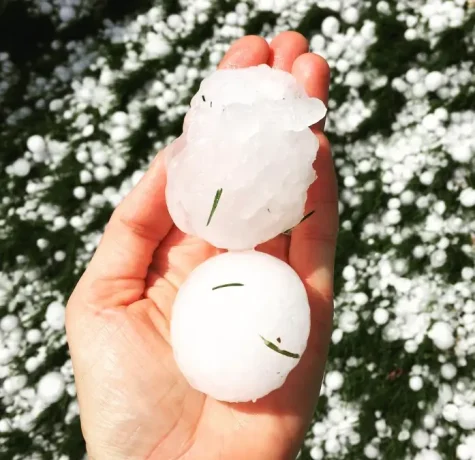 Why Fixing Hail Damage to Your Roof is So Important. Two large hailstones being held in a person’s hand, with a background of hail-covered grass.