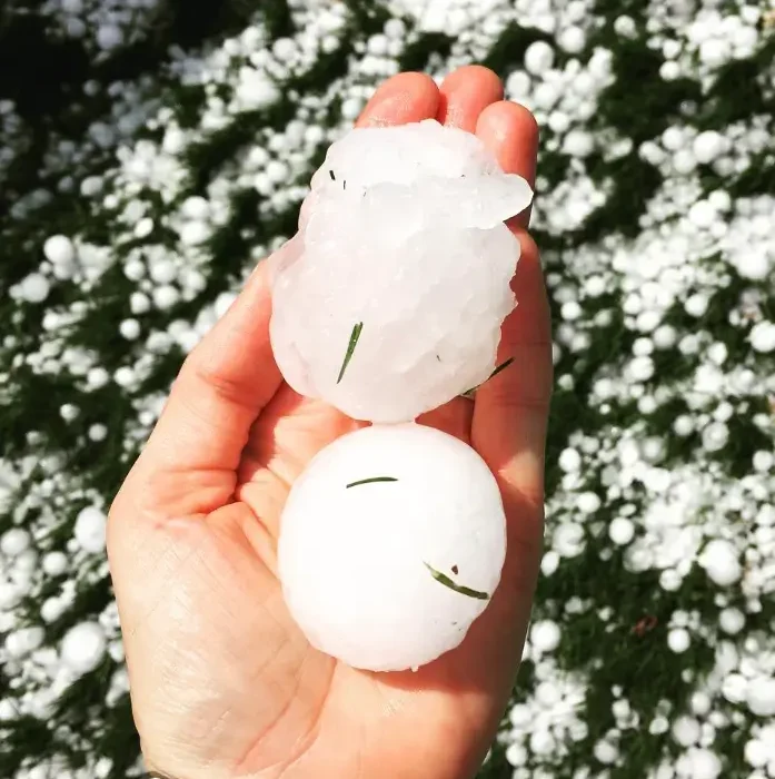 Why Fixing Hail Damage to Your Roof is So Important. Two large hailstones being held in a person’s hand, with a background of hail-covered grass.