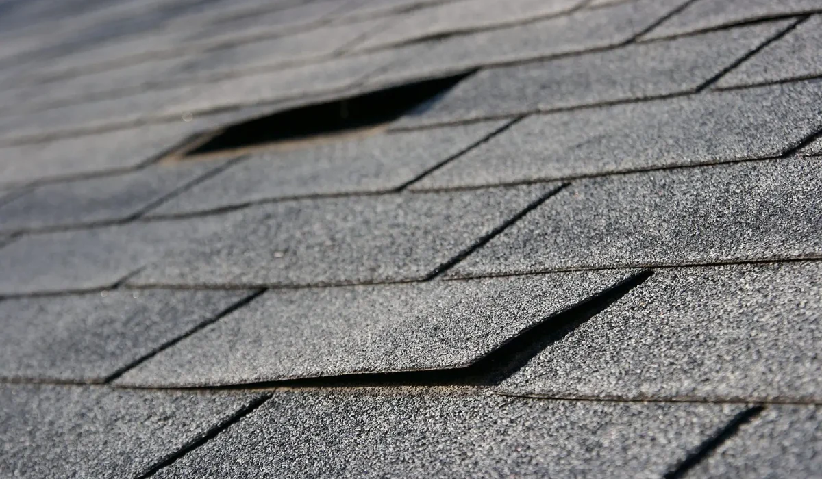 Be Sure To Make Roof Repairs Sooner Rather Than Later. A detailed view of asphalt roof shingles showing signs of damage and lifting, requiring urgent repair.