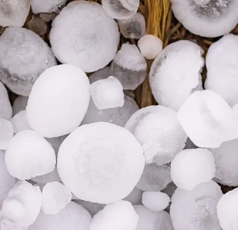 How Severe Weather Affects Homes and Businesses. Large hailstones scattered across a lawn, with one held in a hand to show their size and texture.