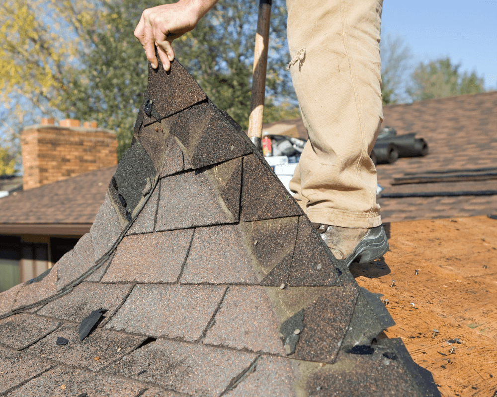 conifer residential roof replacement company