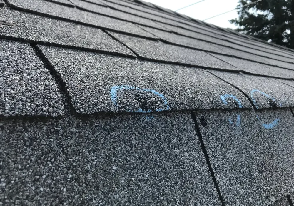 the signs of hail damage