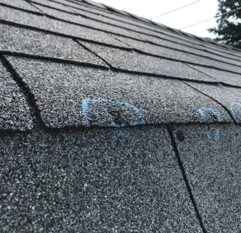 the signs of hail damage