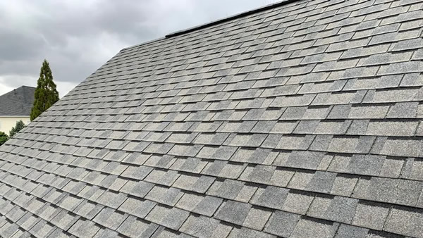Premium Shingle Roofing