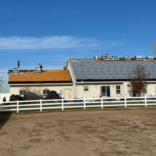 brighton roof replacement