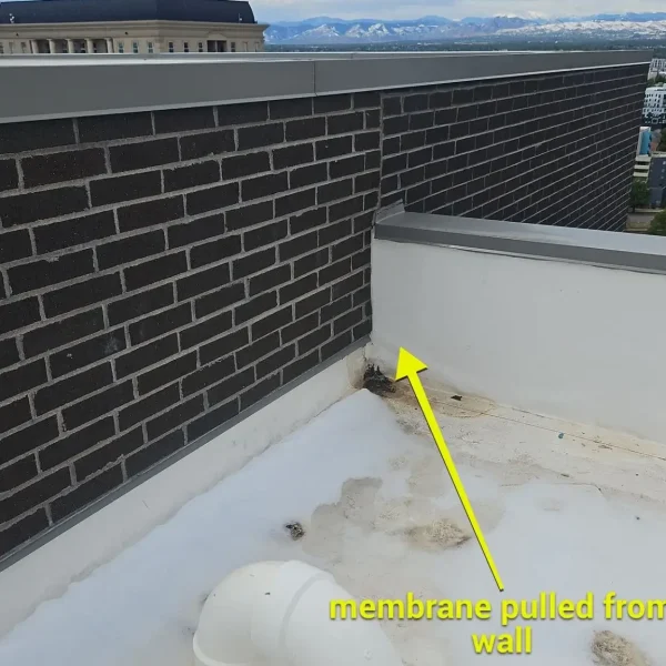 civic lofts denver tpo wall tenting parapet corner