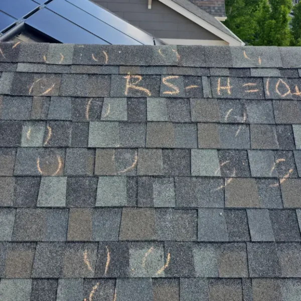 Close-up of hail damage on roof shingles before repair in Erie CO