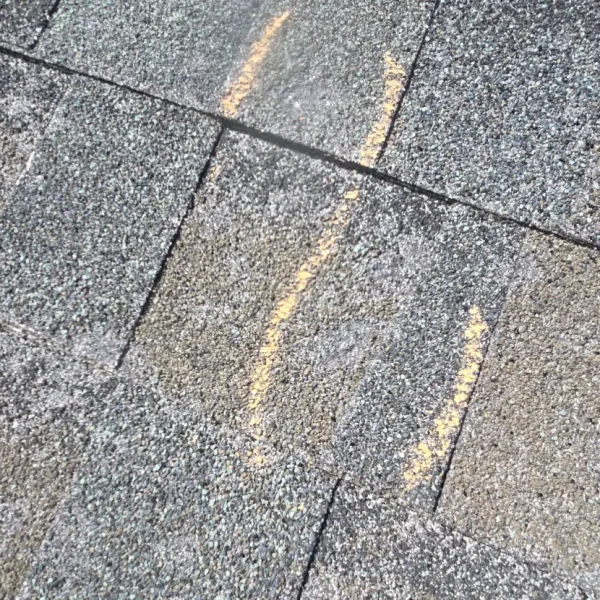 Damaged roofing system after storm in Erie Colorado neighborhood